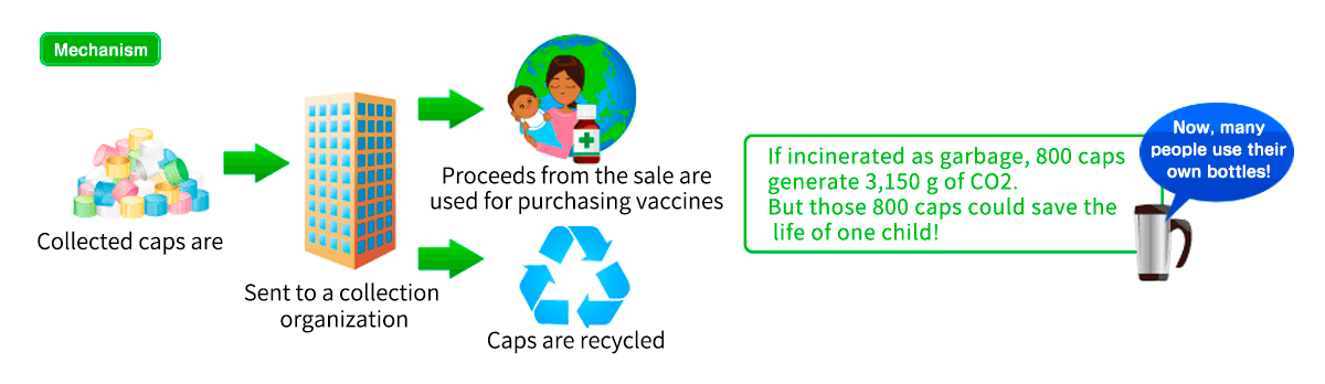 structure of the Eco-cap movement